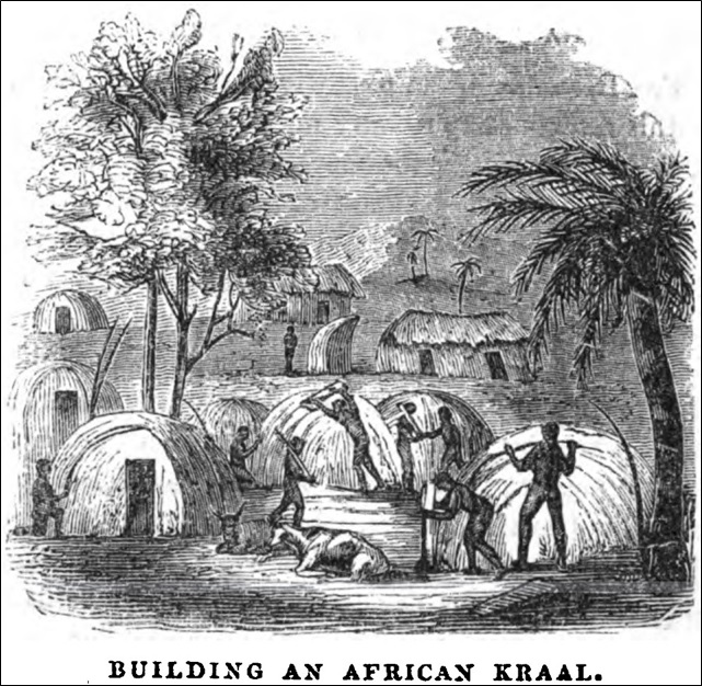Building-an-African-Kraal.