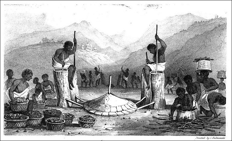 Iron Smelting