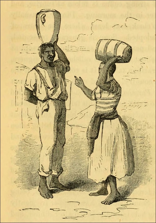 The Angolian’s reproach