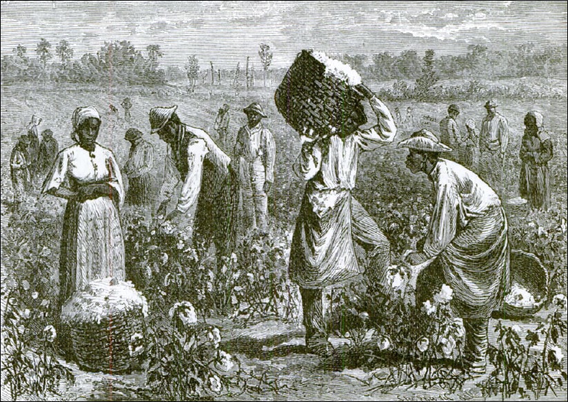 Scene on a cotton plantation