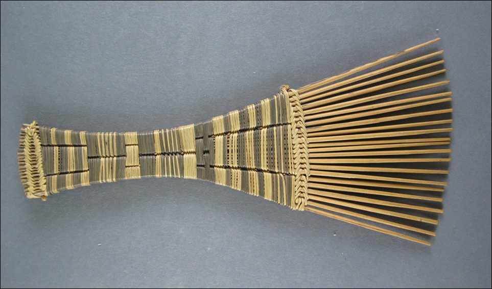 Reed Pygmy Comb