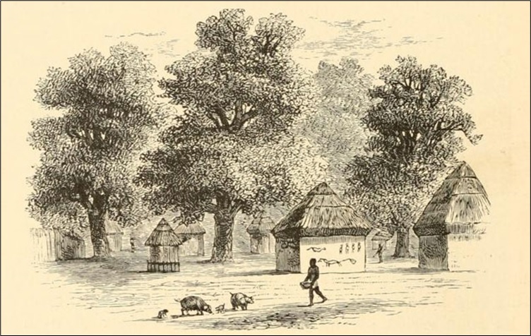 A village in Africa
