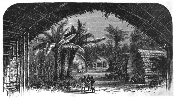 A village in the Kongo country