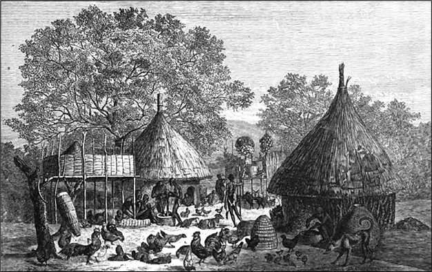 View in the interior of an African village