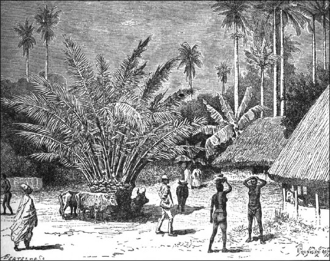 Village of Mwana Mambo