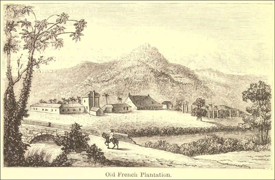 Old French Plantation