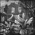 Ruines du palais de Sans-Souci, à Milot (intérieur)