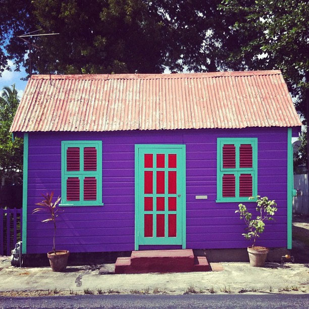 The Purple Chattel House